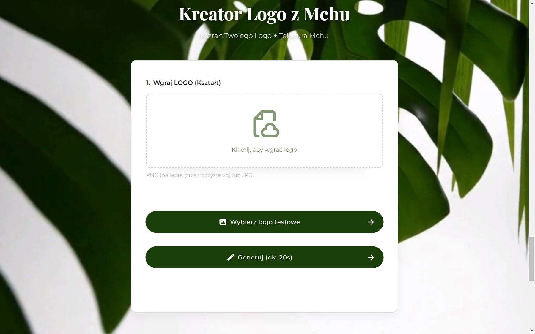 Ogrody wertykalne na laptopie - widok 6